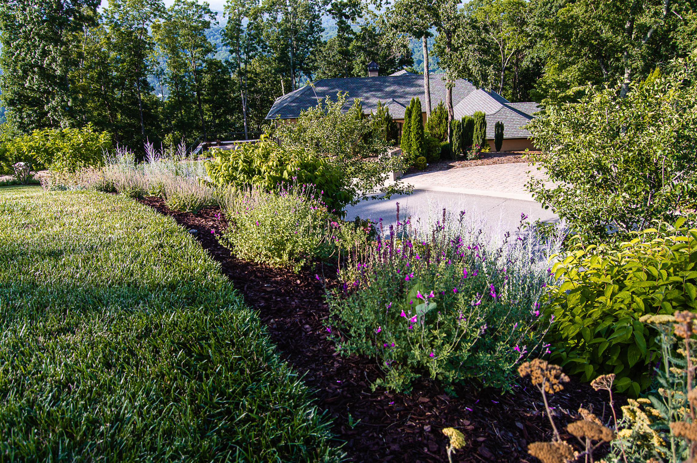 Gardens & Plantings